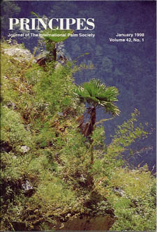 Trachycarpus latisectus